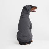 Pull à Capuche Essentiel Pour Chien - Gris Foncé