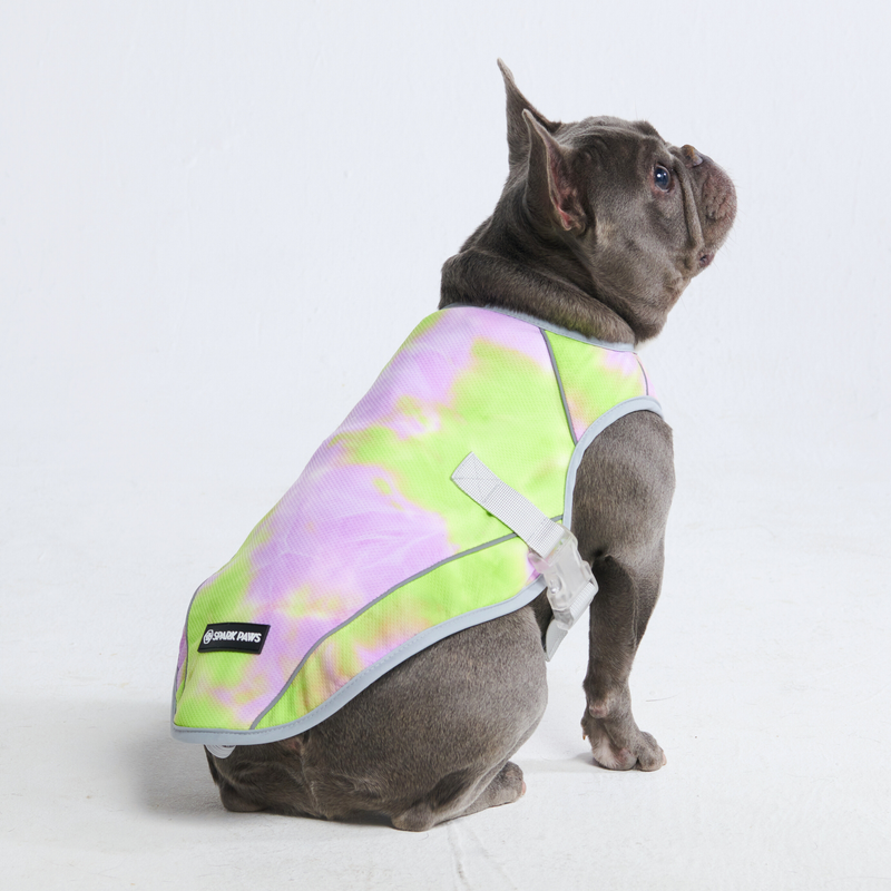 Gilet rafraîchissant pour chien - Snow Cone