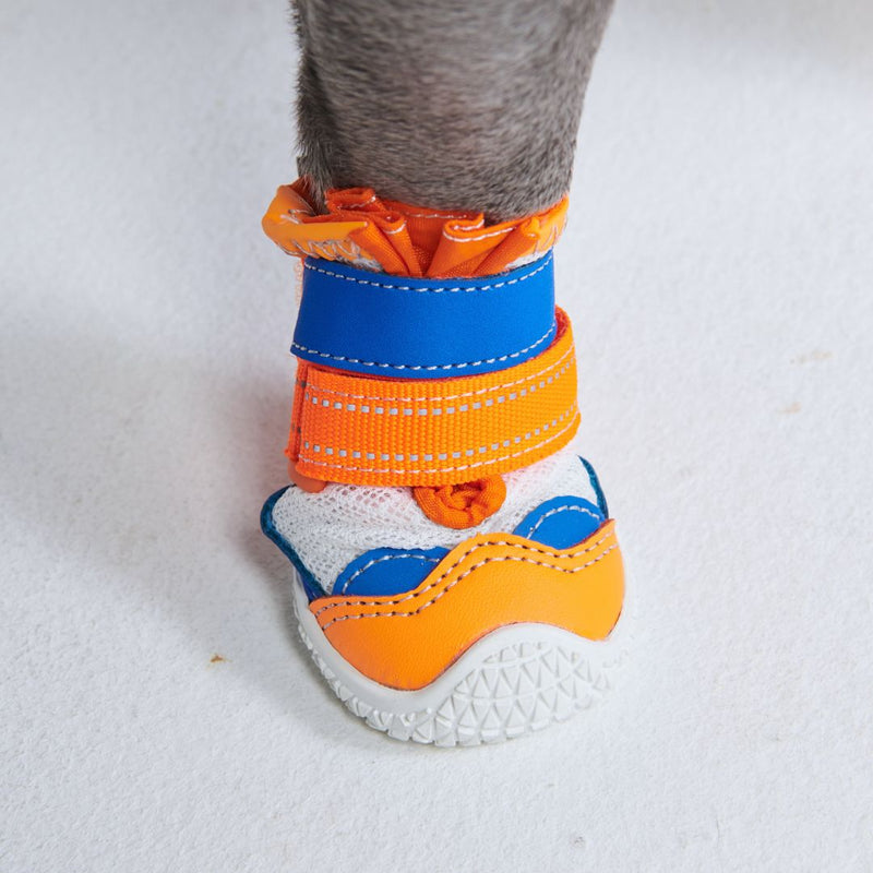 Chaussures pour chien sur pavé chaud - Orange Bleu