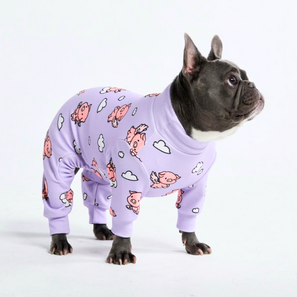 Pyjama pour chien - Quand les cochons volent - Violet