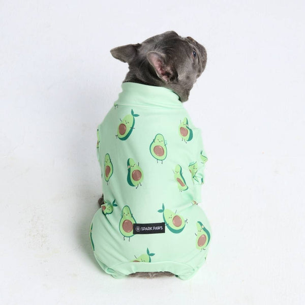 Pyjama pour chien - Avocat