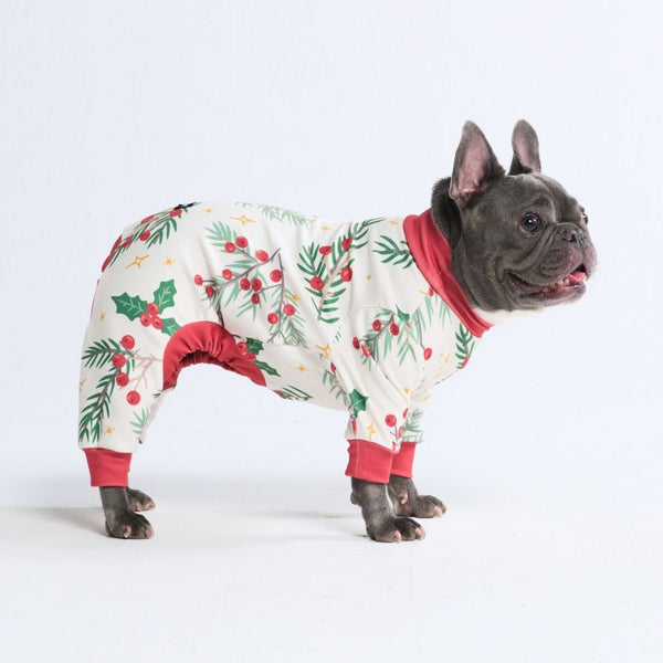 Pyjama de Noël pour chien - Le gui