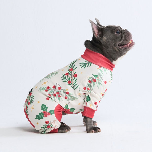 Pyjama de Noël pour chien - Le gui