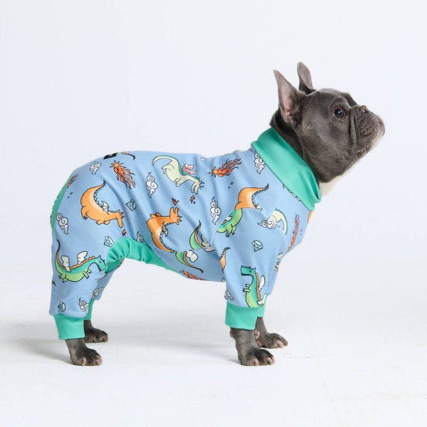 Pyjama pour chien - Dragons