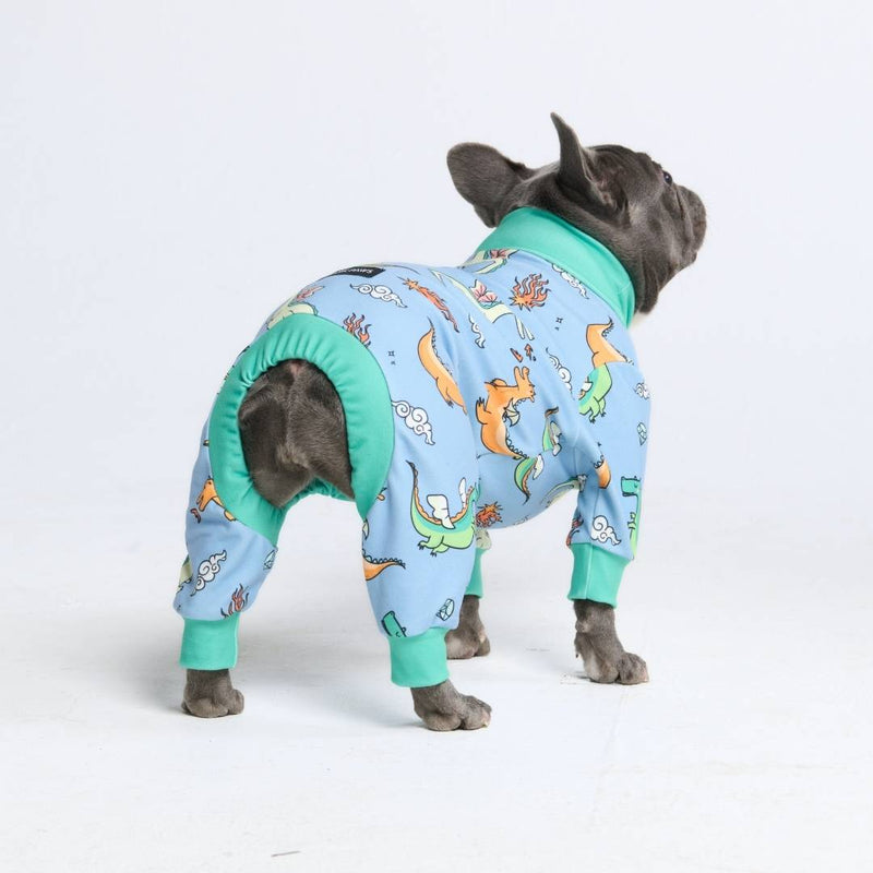 Pyjama pour chien - Dragons