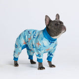 Pyjama pour chien - Avions