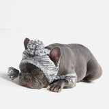 Chapeau d'hiver en tricot pour chiens