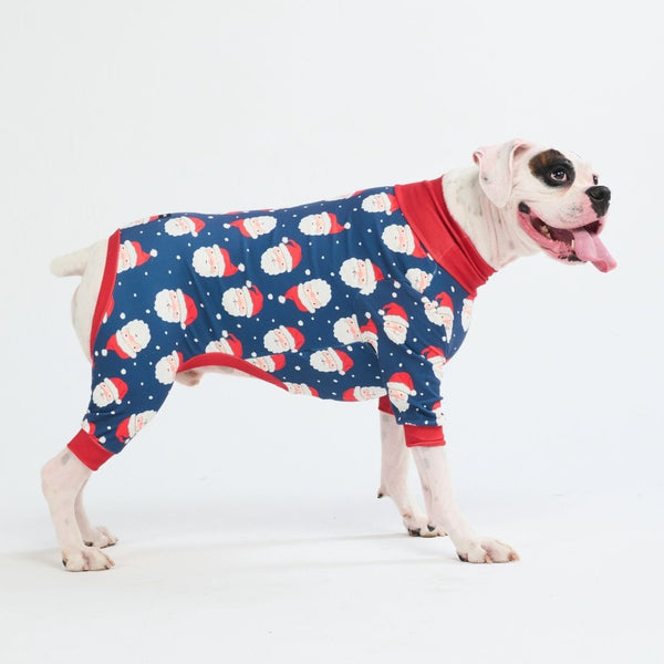 Pyjama de Noël pour chien - Père Noël