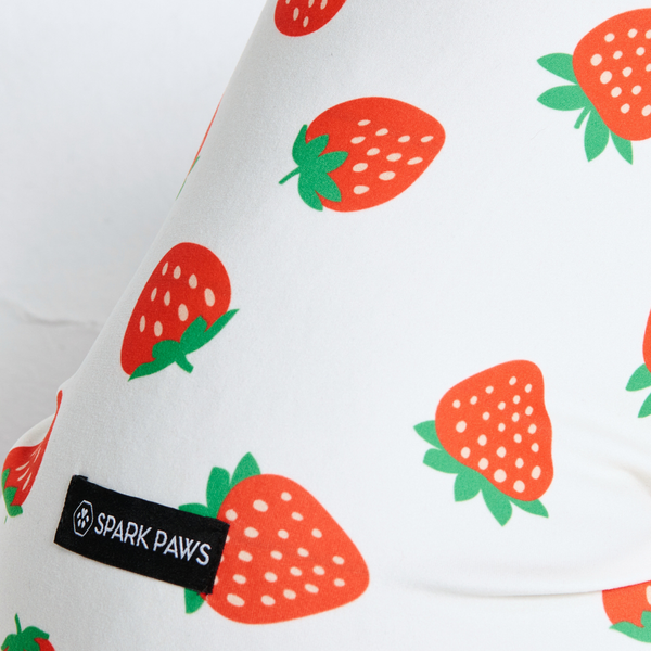 Pyjama pour chien - Fraises