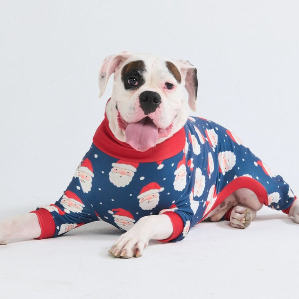 Pyjama de Noël pour chien - Père Noël