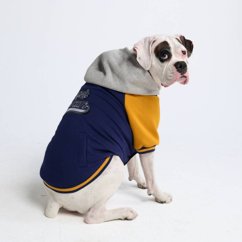 Veste universitaire pour chien - Bleu jaune