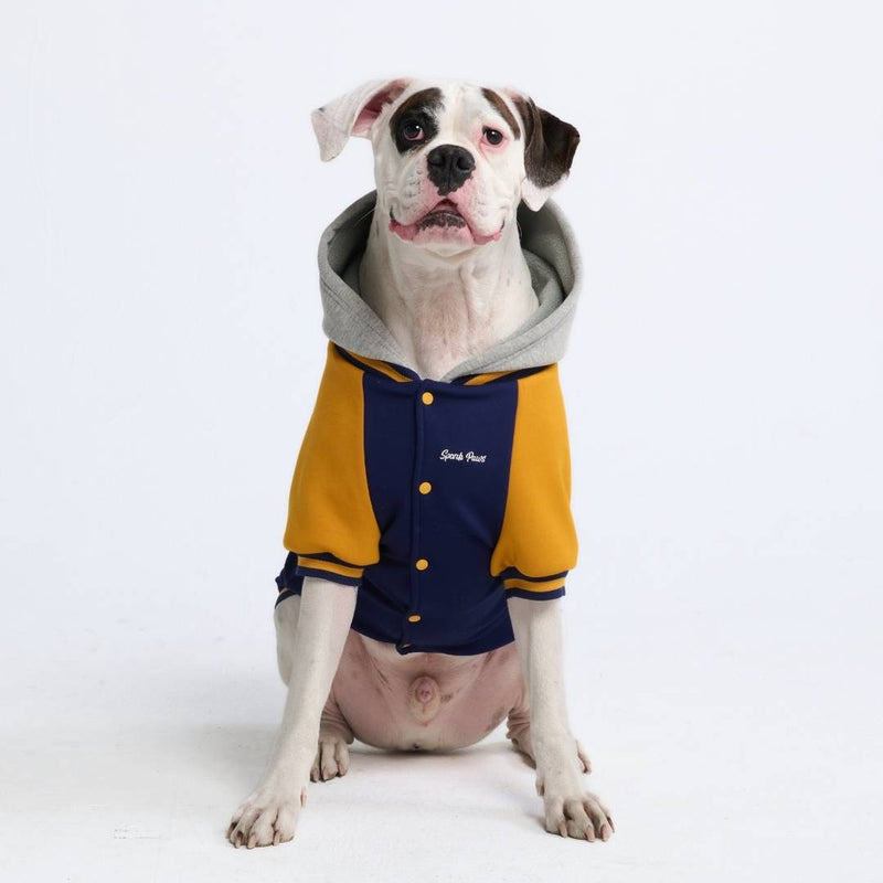 Veste universitaire pour chien - Bleu jaune