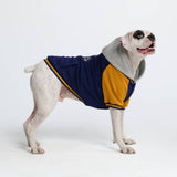 Veste universitaire pour chien - Bleu jaune