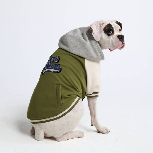 Veste universitaire pour chien - Vert