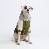 Veste universitaire pour chien - Vert