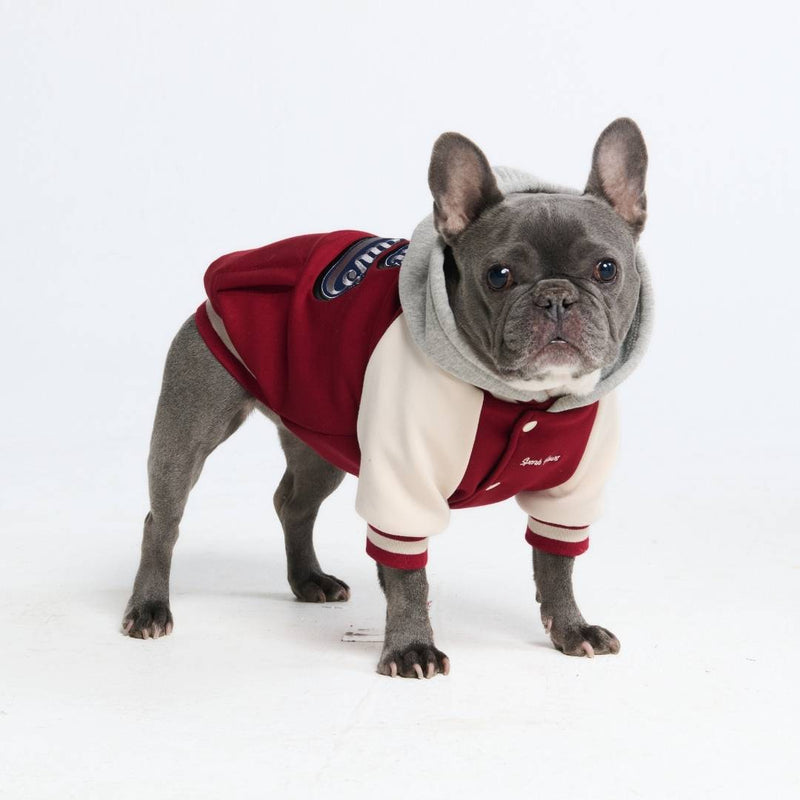 Veste universitaire pour chien - Rouge