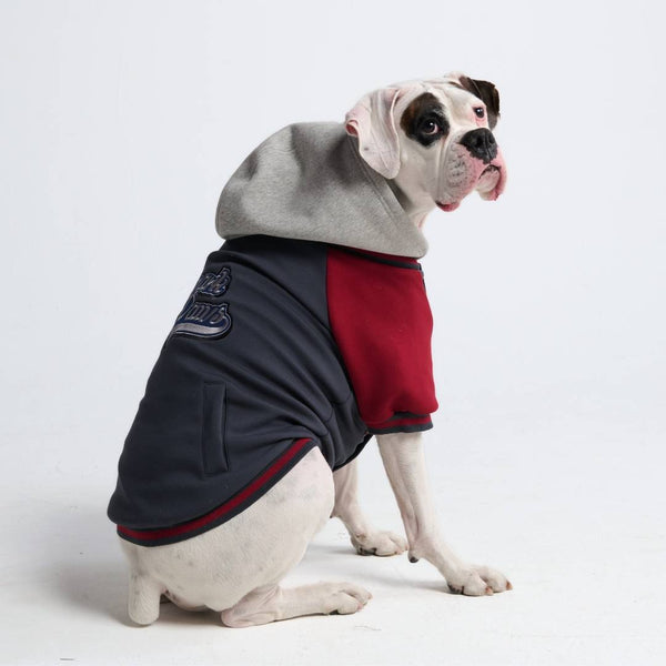 Veste universitaire pour chien - Gris rouge