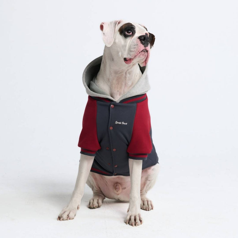 Veste universitaire pour chien - Gris rouge