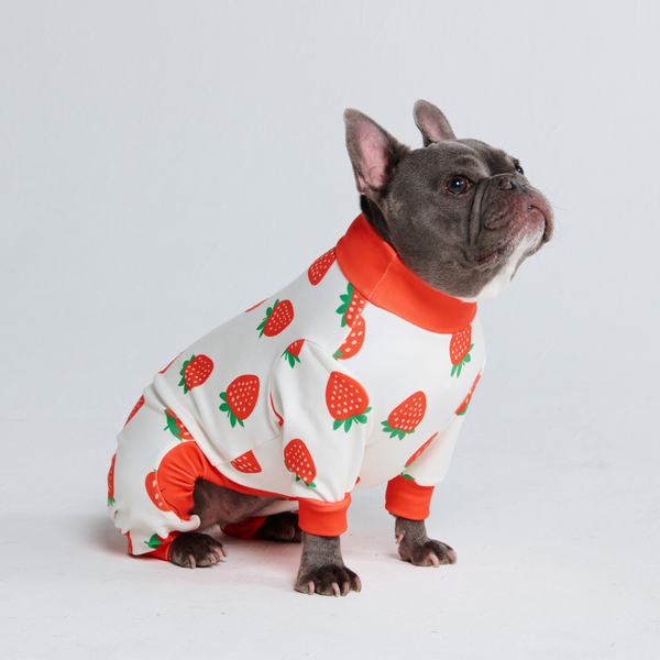 Pyjama pour chien - Fraises