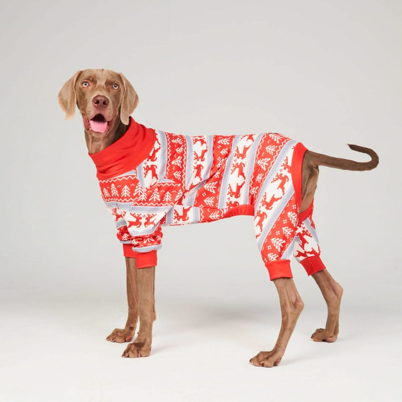 Pyjama pour Chien - Pays des merveilles d'hiver