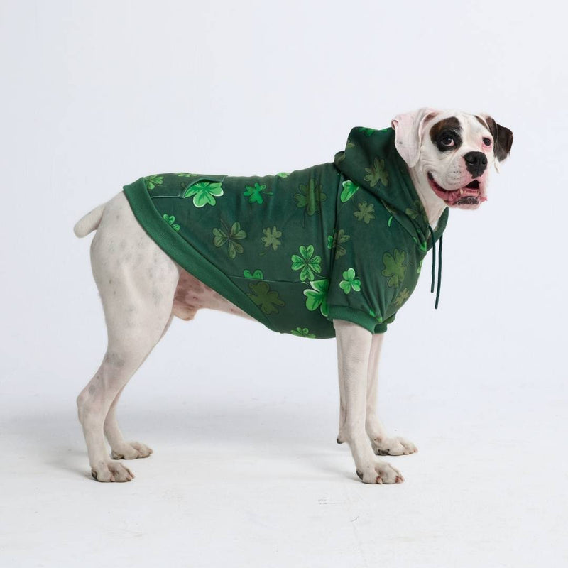 Sweat à capuche pour chien St. Patty's - Vert foncé