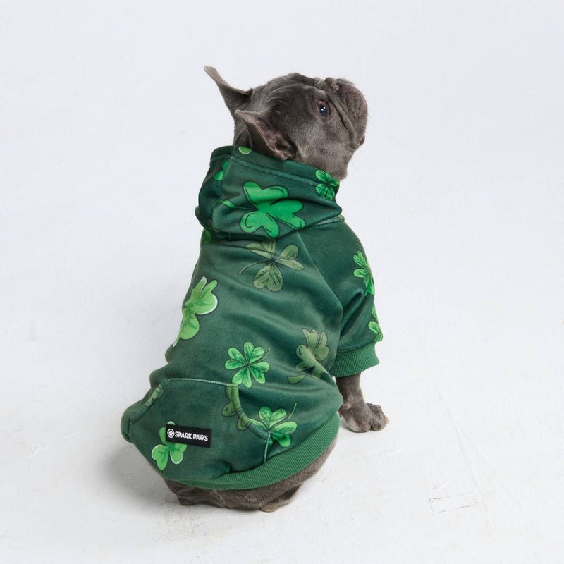 Sweat à capuche pour chien St. Patty's - Vert foncé