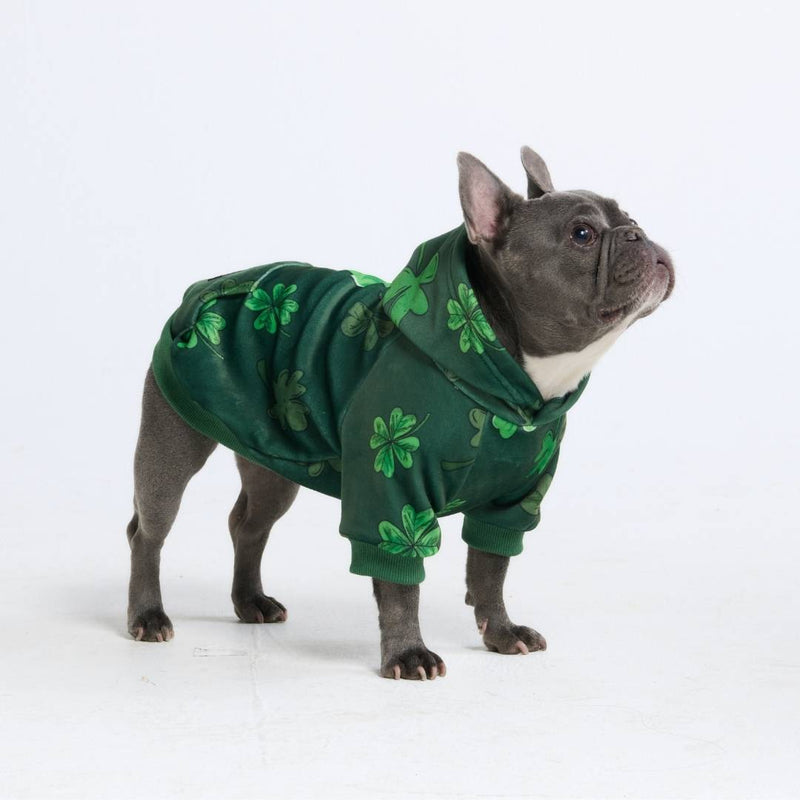 Sweat à capuche pour chien St. Patty's - Vert foncé