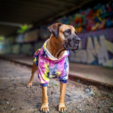 Velours Hoodie pour Chien - Limonade aux Baies