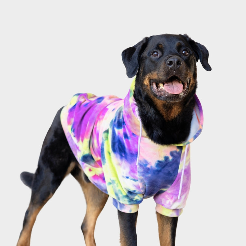 Velours Hoodie pour Chien - Limonade aux Baies