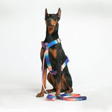 Kaleidoscope Neoprene Leash