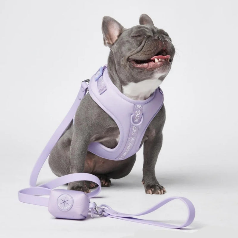 Lilac Neoprene Leash