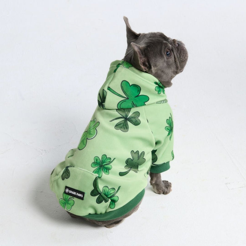 Sweat à capuche pour chien St. Patty's - Vert clair