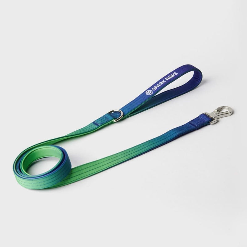 Lime Wave Neoprene Leash