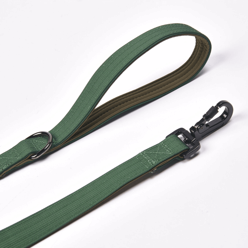 Green Neoprene Leash