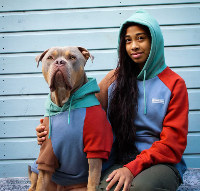 Alpine Hoodie pour Chien