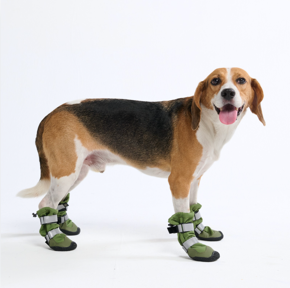 Dog Shoes and Boots Comfort and Protection for Every Paw SPARK PAWS