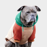 Pull à Capuche Pour Chien - Forestier