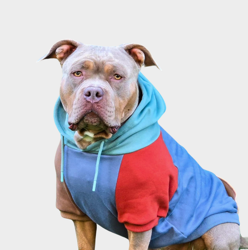 Alpine Hoodie pour Chien