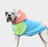 Jelly Bean Hoodie pour Chien