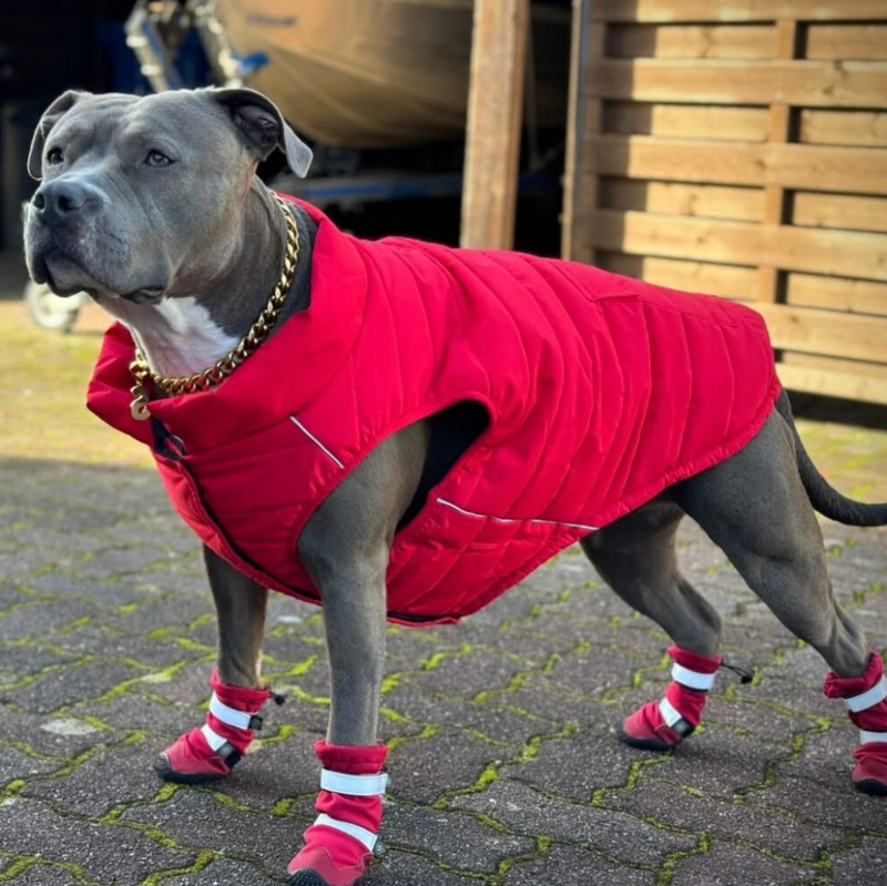 Flex Shell Bottes pour Chiens Résistantes à l'Eau - Rouge