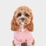 Pull à Capuche Essentiel Pour Chien - Rose Poussiéreux