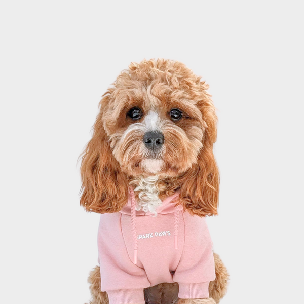 Pull à Capuche Essentiel Pour Chien - Rose Poussiéreux