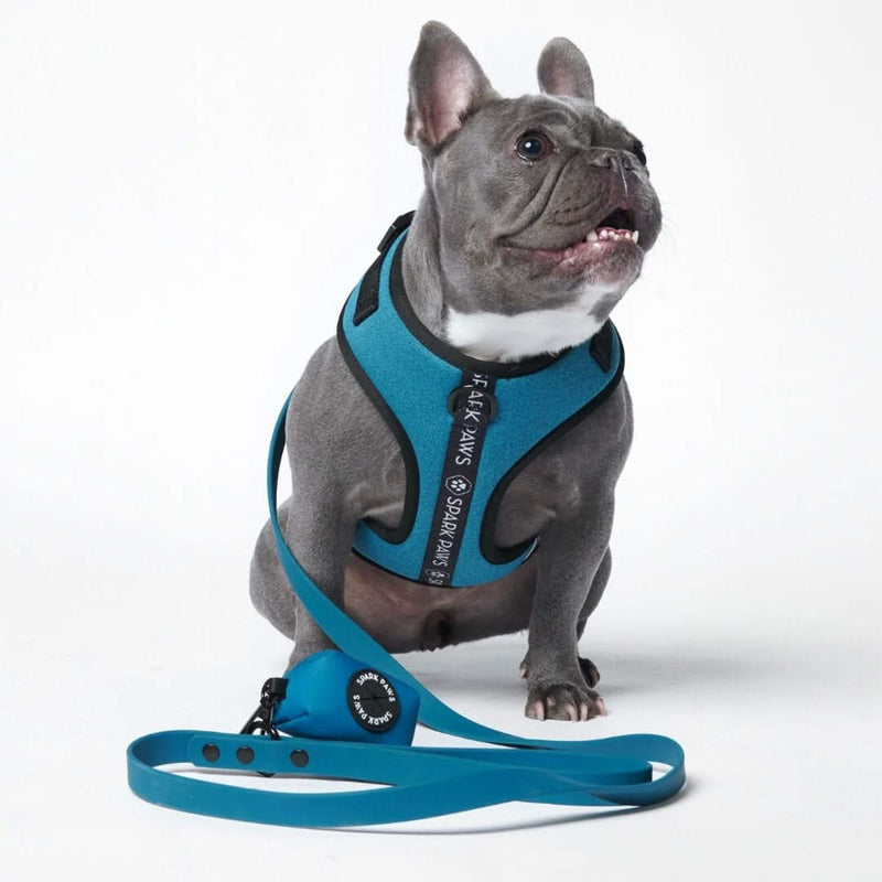 Harnais pour chien Yogawear - Bleu