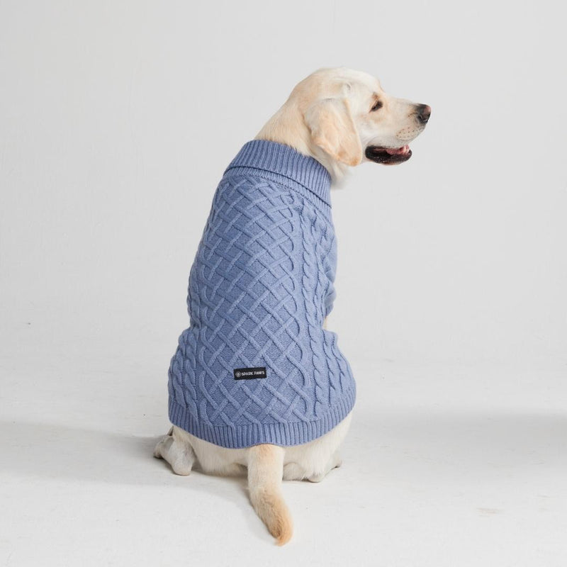 Pull chien online tricot