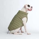 Olive Warmshield Jacket