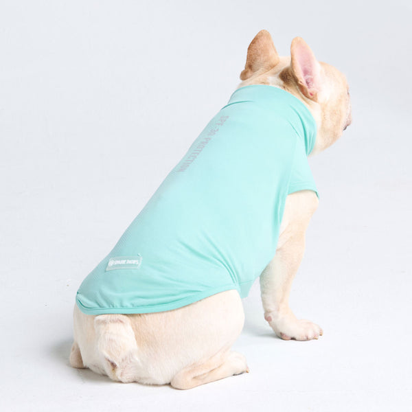 T-shirt pour chien avec écran solaire - Bleu aqua