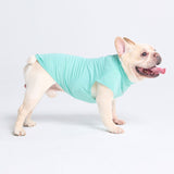 T-shirt pour chien avec écran solaire - Bleu aqua