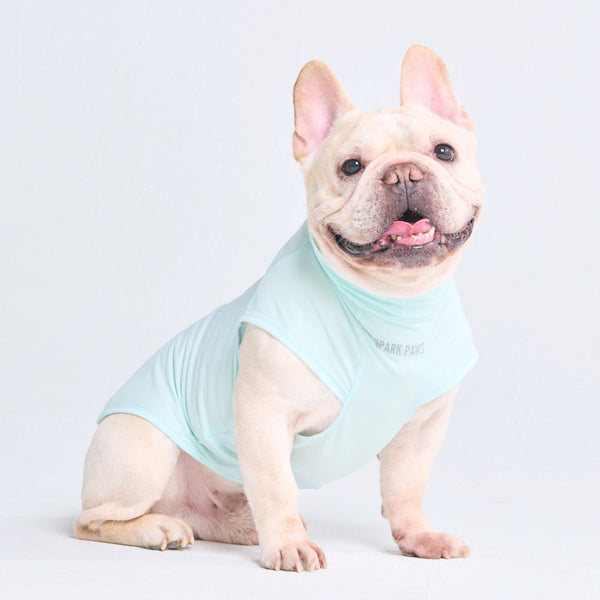 T-shirt pour chien avec écran solaire - Bleu clair