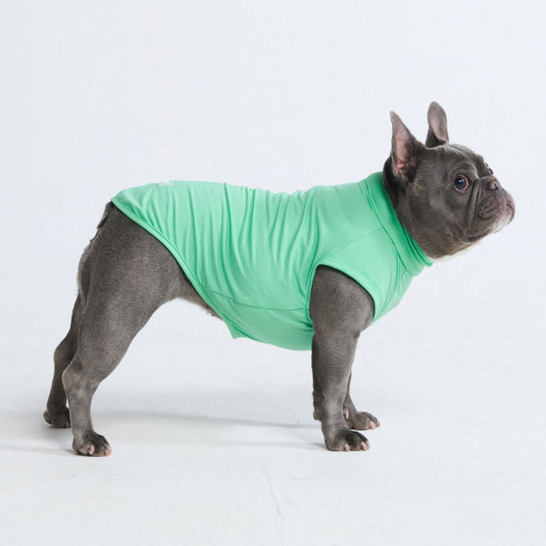 T-shirt pour chien avec écran solaire - Menthe