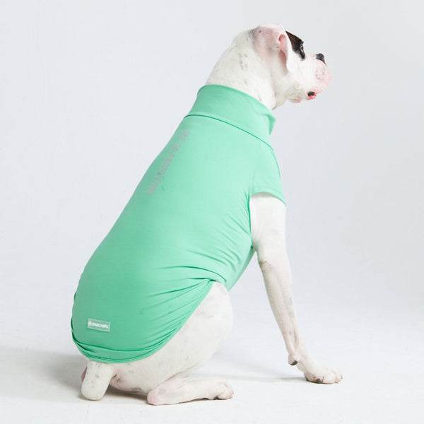 T-shirt pour chien avec écran solaire - Menthe